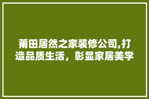 莆田居然之家装修公司,打造品质生活，彰显家居美学 软装设计