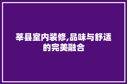莘县室内装修,品味与舒适的完美融合
