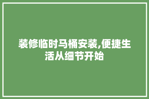 装修临时马桶安装,便捷生活从细节开始 家居装修
