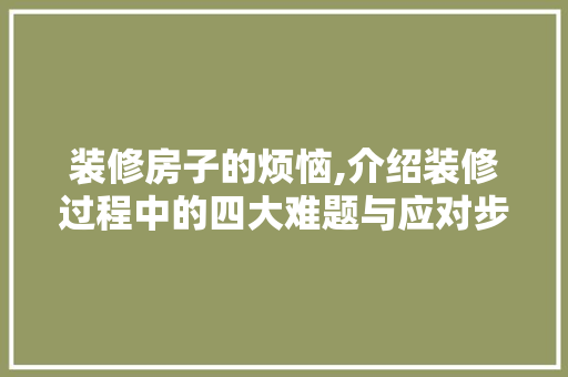 装修房子的烦恼,介绍装修过程中的四大难题与应对步骤 软装设计