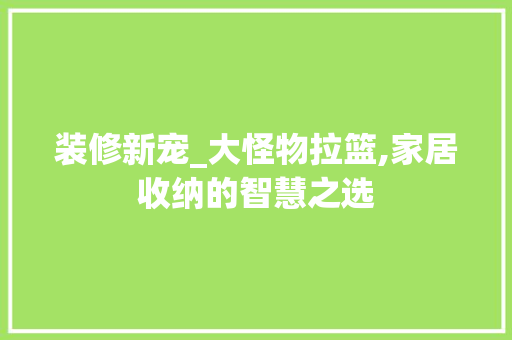 装修新宠_大怪物拉篮,家居收纳的智慧之选 家居装修