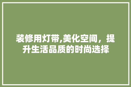 装修用灯带,美化空间，提升生活品质的时尚选择 中式风格装饰