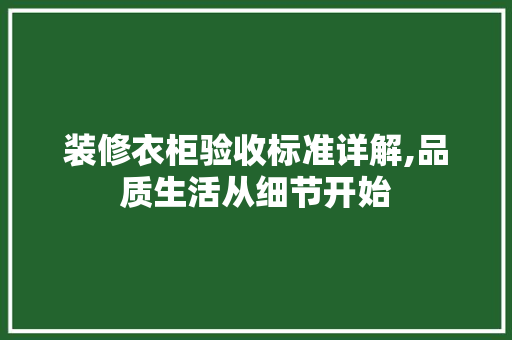 装修衣柜验收标准详解,品质生活从细节开始 木雕艺术