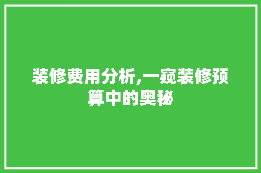 装修费用分析,一窥装修预算中的奥秘 客厅装修