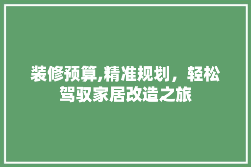 装修预算,精准规划，轻松驾驭家居改造之旅 现代风格装饰