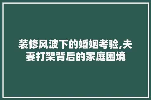装修风波下的婚姻考验,夫妻打架背后的家庭困境