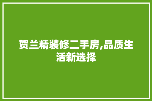 贺兰精装修二手房,品质生活新选择 客厅装修