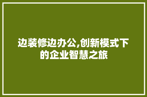 边装修边办公,创新模式下的企业智慧之旅 家居装修