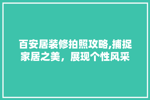 百安居装修拍照攻略,捕捉家居之美，展现个性风采 木雕艺术