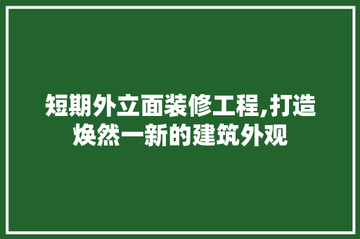 短期外立面装修工程,打造焕然一新的建筑外观