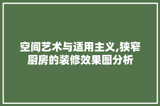 空间艺术与适用主义,狭窄厨房的装修效果图分析 现代风格装饰