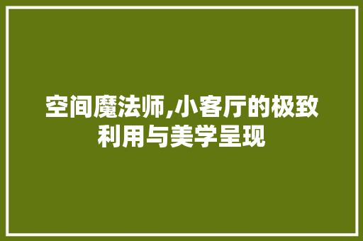 空间魔法师,小客厅的极致利用与美学呈现 卧室装修