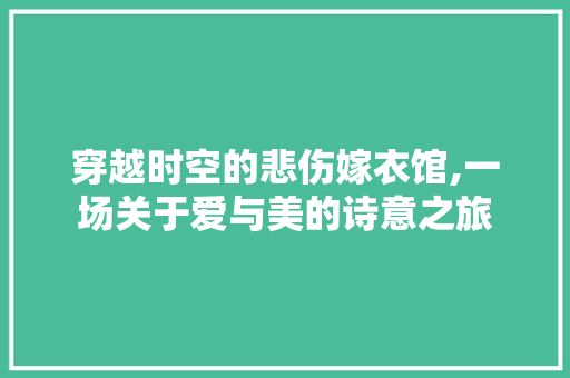 穿越时空的悲伤嫁衣馆,一场关于爱与美的诗意之旅 现代风格装饰