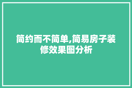 简约而不简单,简易房子装修效果图分析 地板材料