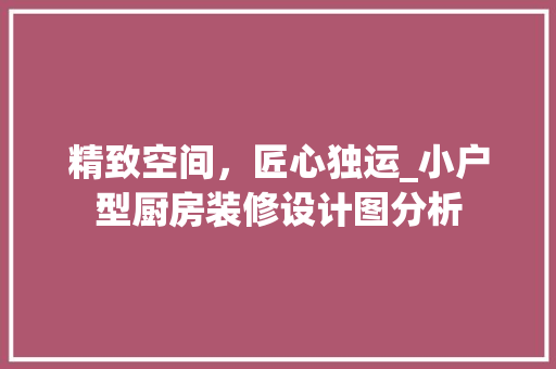 精致空间，匠心独运_小户型厨房装修设计图分析 室内设计