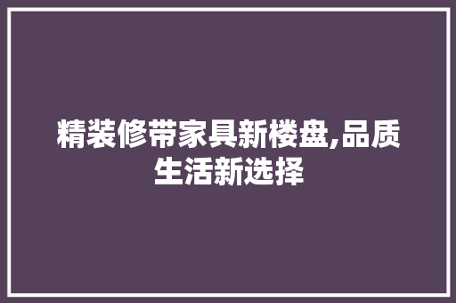 精装修带家具新楼盘,品质生活新选择 室内设计