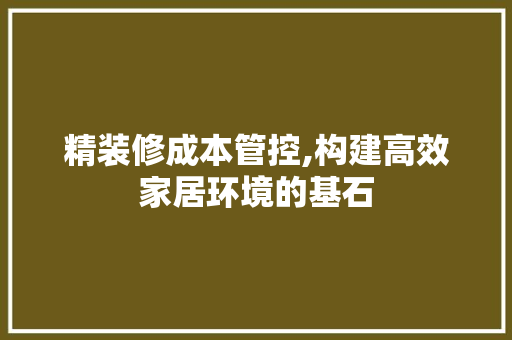 精装修成本管控,构建高效家居环境的基石 客厅装修