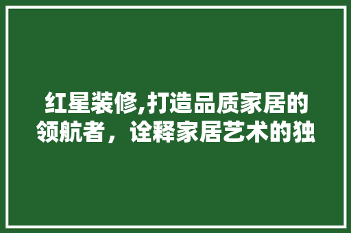 红星装修,打造品质家居的领航者，诠释家居艺术的独特魅力 家居装修
