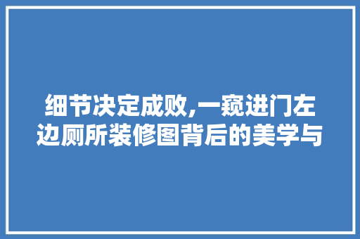 细节决定成败,一窥进门左边厕所装修图背后的美学与适用 家居装修
