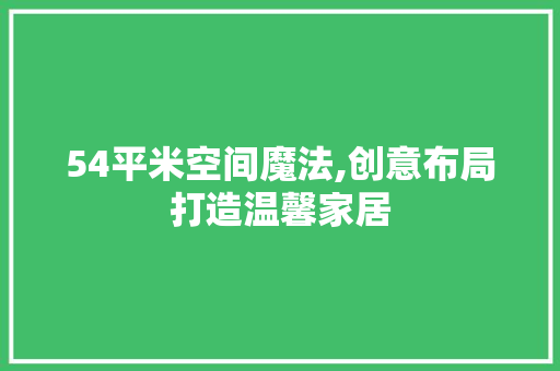 54平米空间魔法,创意布局打造温馨家居 现代风格装饰
