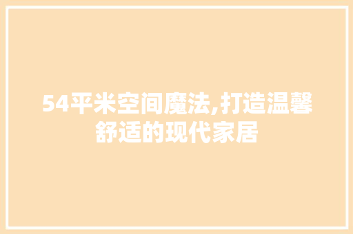 54平米空间魔法,打造温馨舒适的现代家居 室内设计