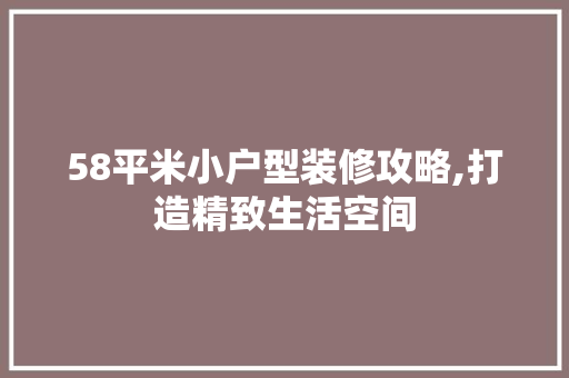 58平米小户型装修攻略,打造精致生活空间 软装设计