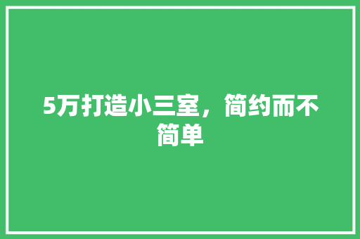 5万打造小三室，简约而不简单 软装设计