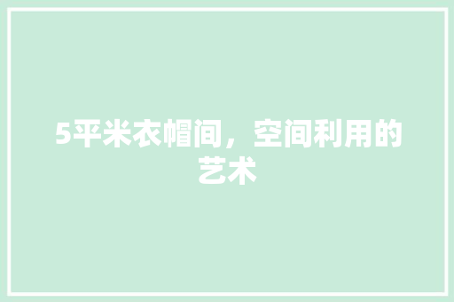 5平米衣帽间，空间利用的艺术 地板材料