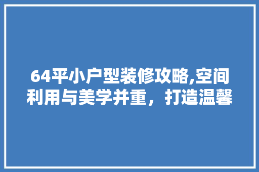 64平小户型装修攻略,空间利用与美学并重，打造温馨宜居之家 木雕艺术