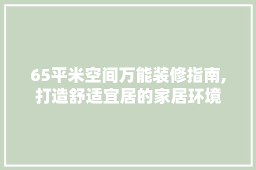 65平米空间万能装修指南,打造舒适宜居的家居环境 卧室装修