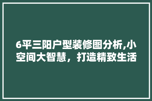 6平三阳户型装修图分析,小空间大智慧，打造精致生活空间 中式风格装饰