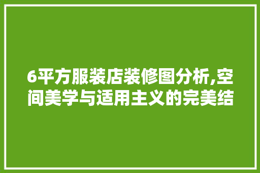 6平方服装店装修图分析,空间美学与适用主义的完美结合 地板材料