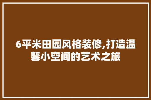 6平米田园风格装修,打造温馨小空间的艺术之旅 地板材料
