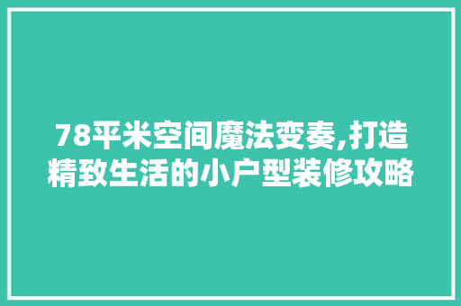 78平米空间魔法变奏,打造精致生活的小户型装修攻略 地板材料