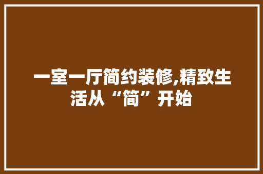 一室一厅简约装修,精致生活从“简”开始 室内设计