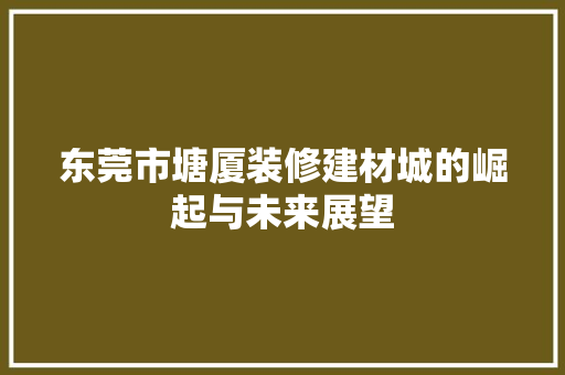 东莞市塘厦装修建材城的崛起与未来展望 中式风格装饰