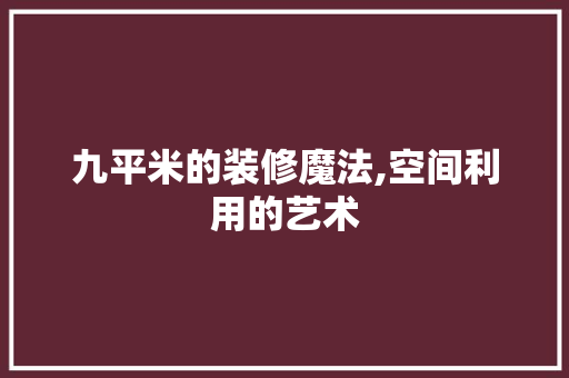 九平米的装修魔法,空间利用的艺术 木雕艺术