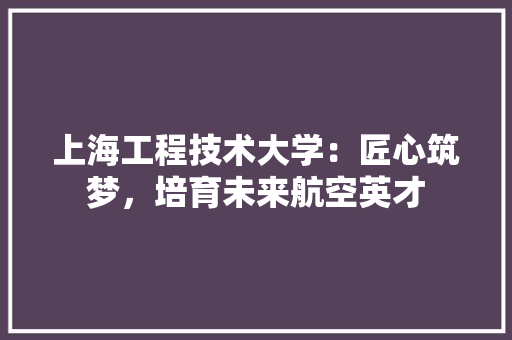 上海工程技术大学：匠心筑梦，培育未来航空英才 地板材料