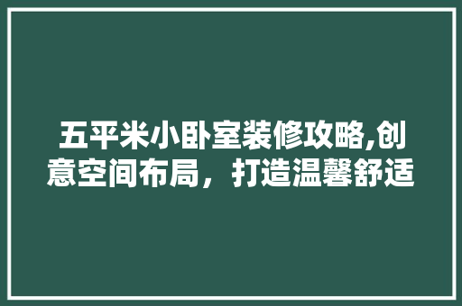五平米小卧室装修攻略,创意空间布局，打造温馨舒适小窝 现代风格装饰