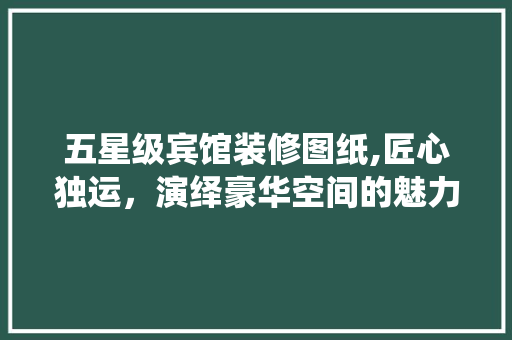 五星级宾馆装修图纸,匠心独运，演绎豪华空间的魅力 室内设计