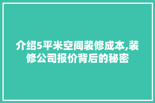 介绍5平米空间装修成本,装修公司报价背后的秘密 家居装修
