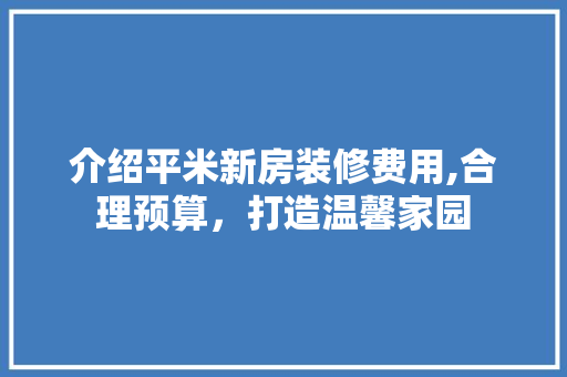 介绍平米新房装修费用,合理预算，打造温馨家园 现代风格装饰
