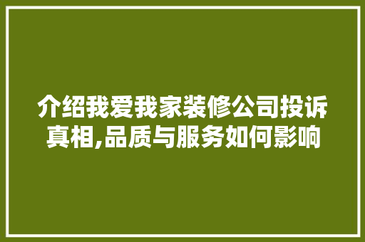 介绍我爱我家装修公司投诉真相,品质与服务如何影响消费者满意度 木雕艺术