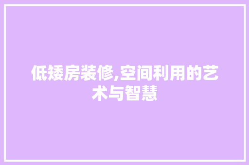 低矮房装修,空间利用的艺术与智慧 软装设计