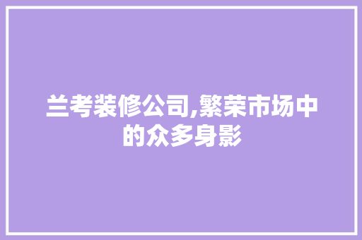 兰考装修公司,繁荣市场中的众多身影