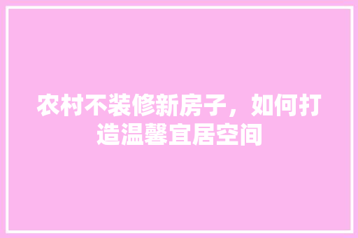 农村不装修新房子，如何打造温馨宜居空间 现代风格装饰