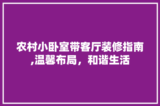 农村小卧室带客厅装修指南,温馨布局，和谐生活 客厅装修