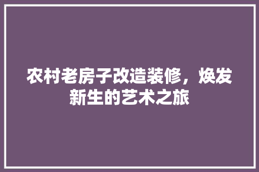 农村老房子改造装修，焕发新生的艺术之旅 卧室装修
