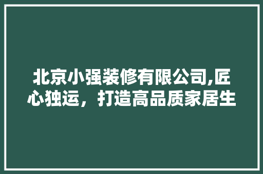 北京小强装修有限公司,匠心独运，打造高品质家居生活 现代风格装饰