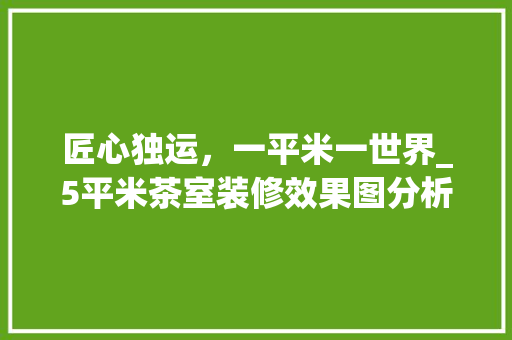 匠心独运，一平米一世界_5平米茶室装修效果图分析 客厅装修